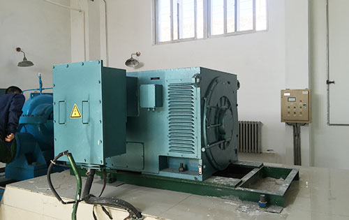 Y4502-2/800KW某水电站工程主水泵使用我公司高压电机