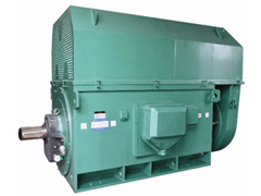 Y4502-2/800KWYKK系列高压电机