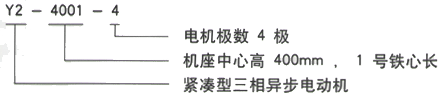 YR系列(H355-1000)高压Y4502-2/800KW三相异步电机西安西玛电机型号说明